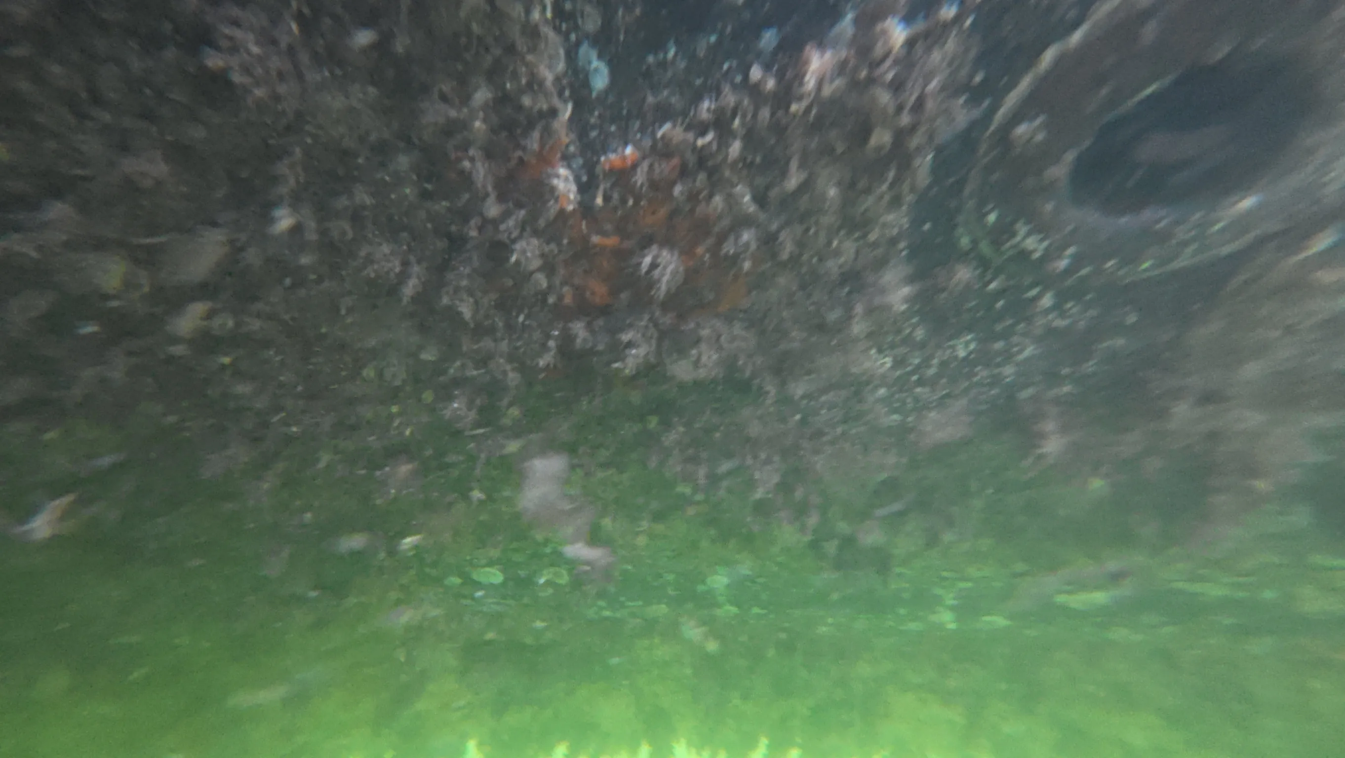 Underwater hull cleaning service in Boca Raton, FL