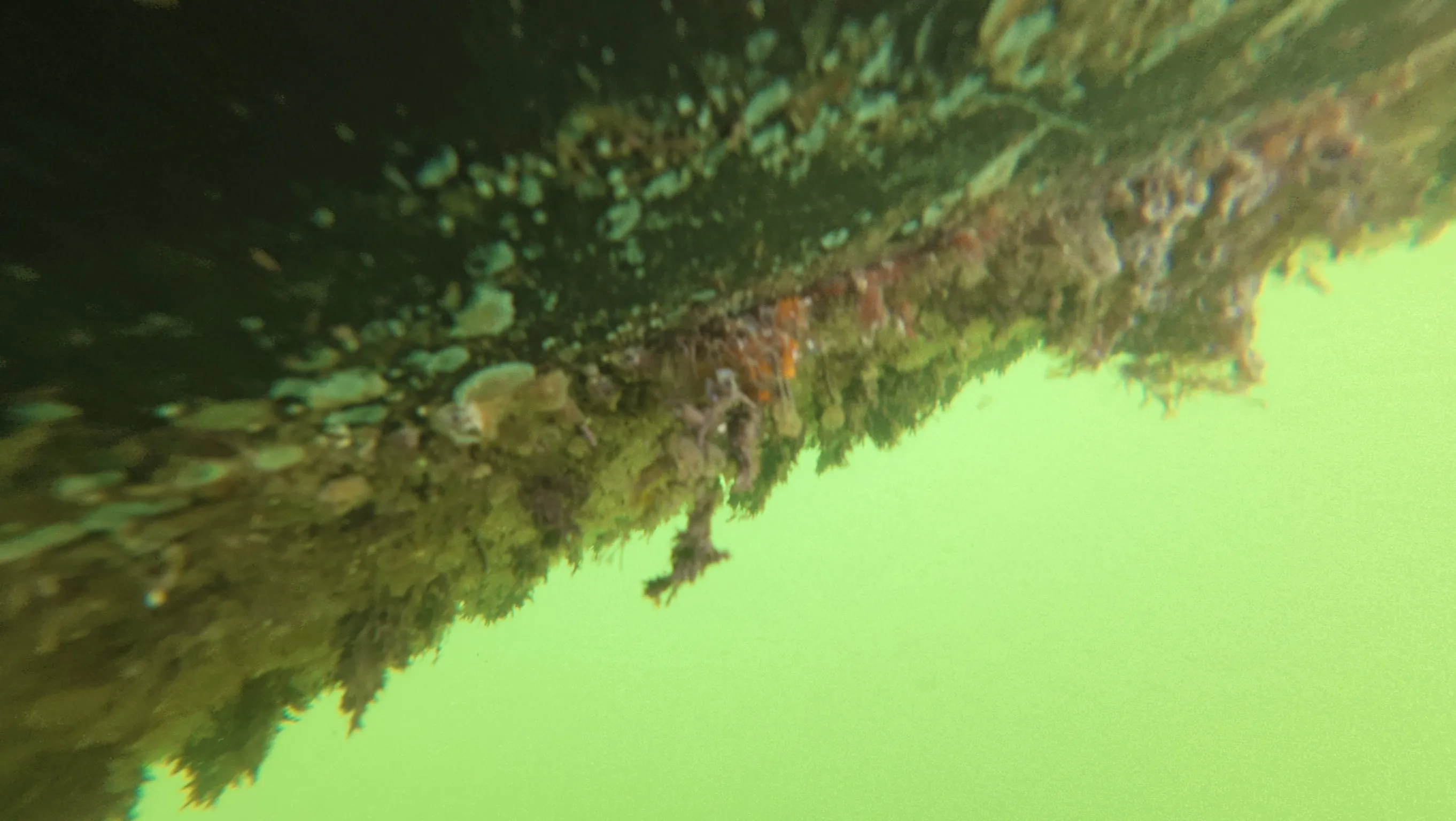 Diver cleaning a boat hull underwater in Boynton Beach, FL