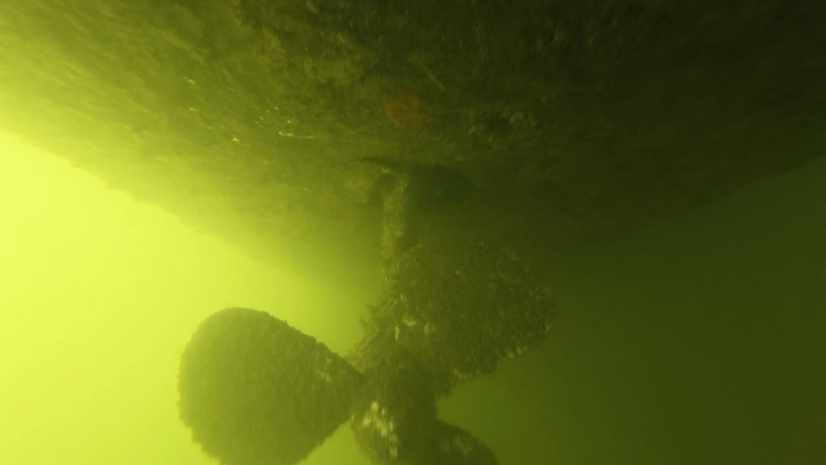 Diver performing underwater hull cleaning in Fort Lauderdale, FL