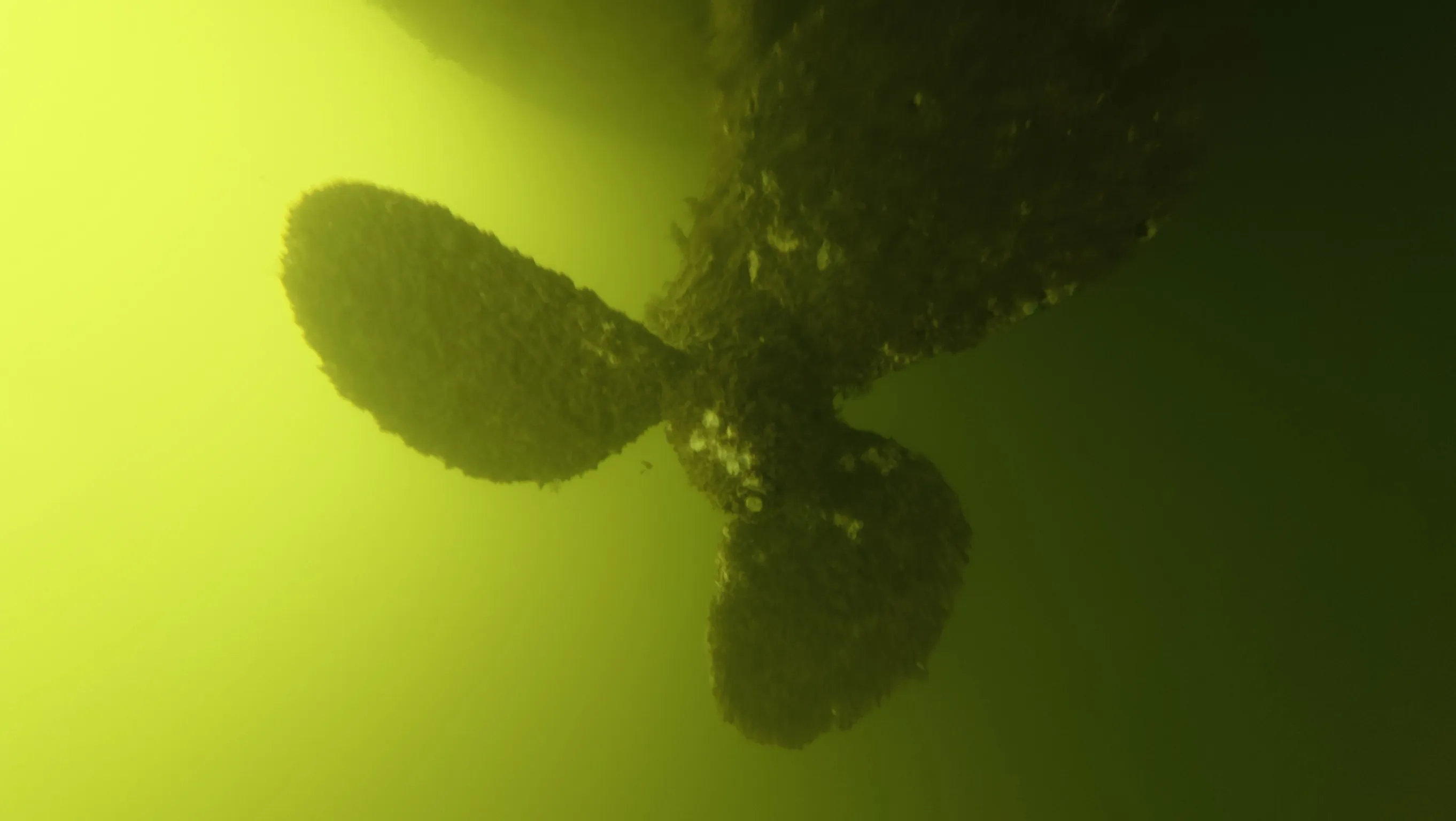 Certified diver cleaning a boat hull near Homestead, FL
