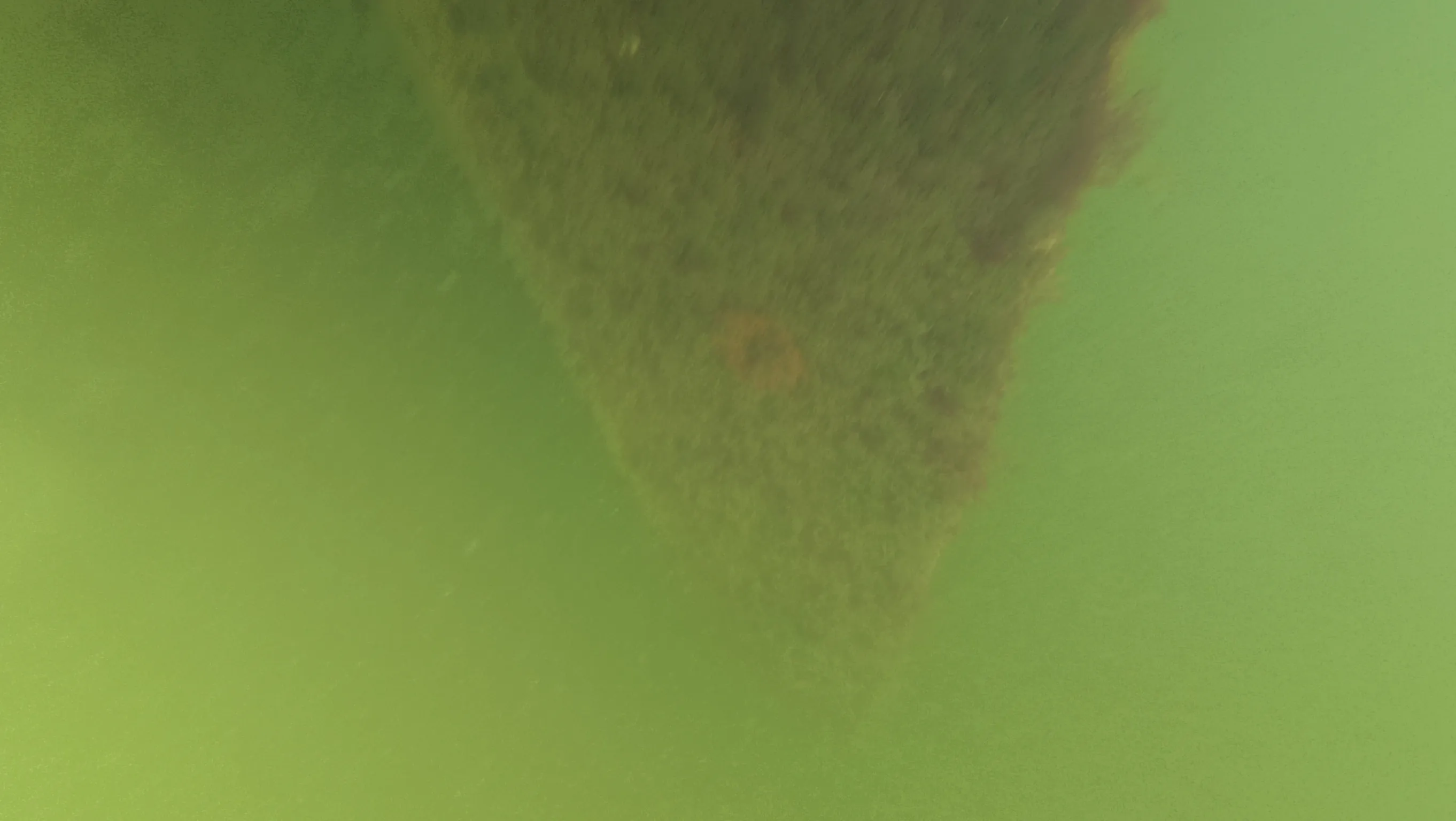Underwater boat hull cleaning near Pompano Beach, FL