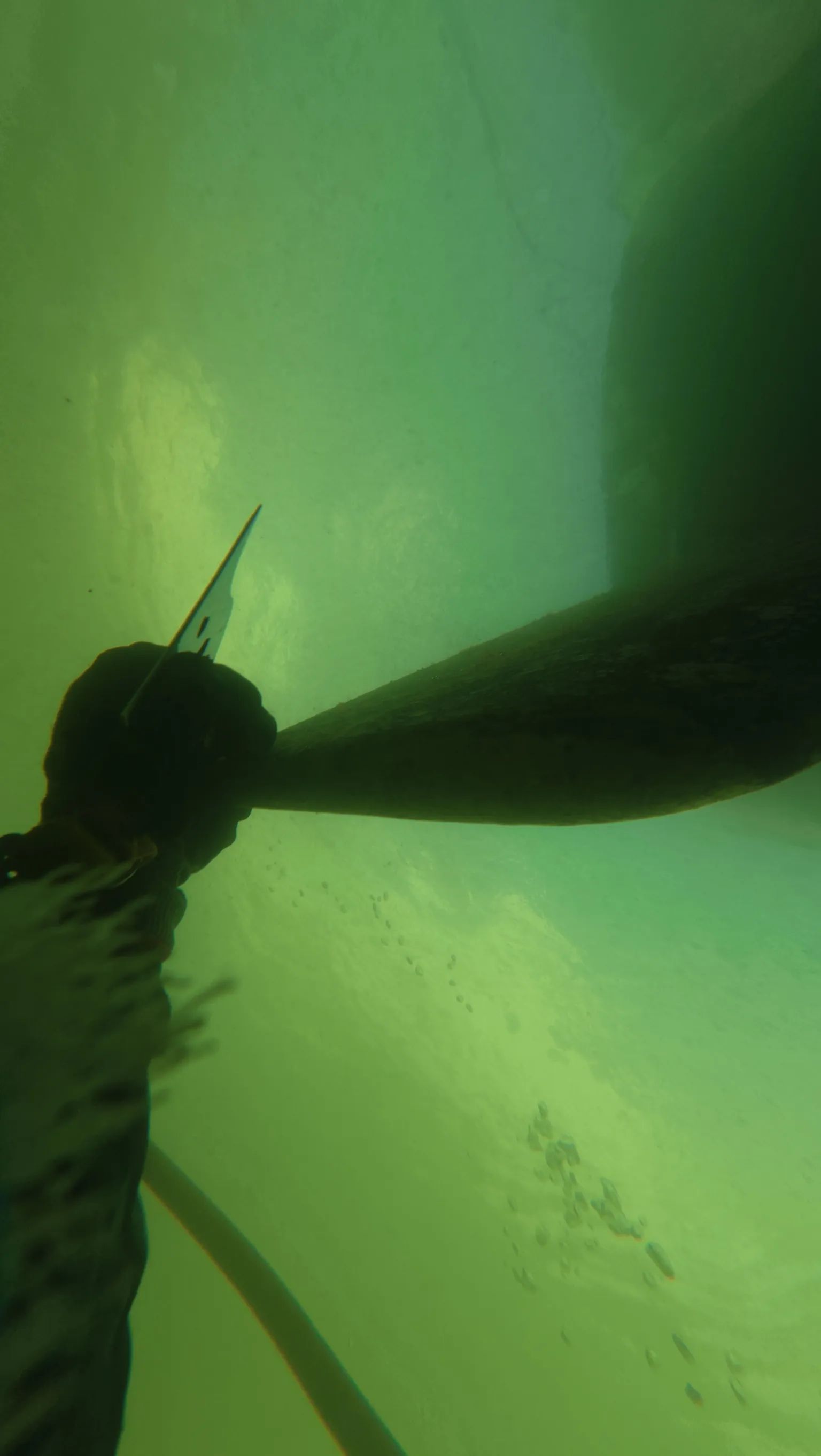 Underwater hull cleaning by a certified diver in West Palm Beach, FL