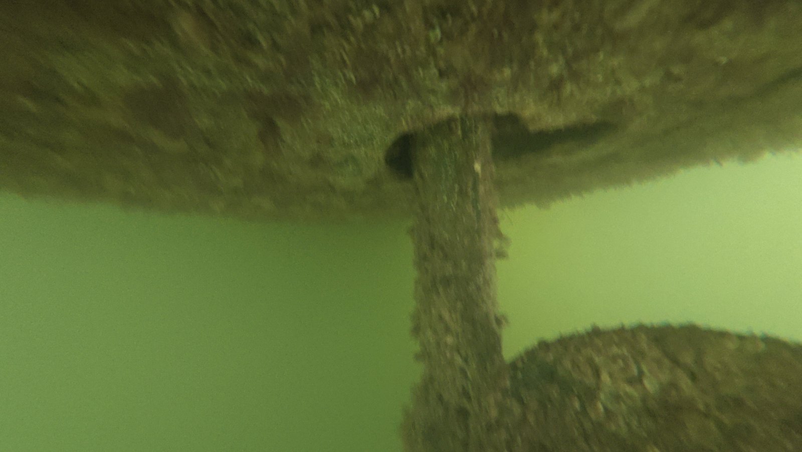 Underwater propeller cleaning near North Bay Village, Florida
