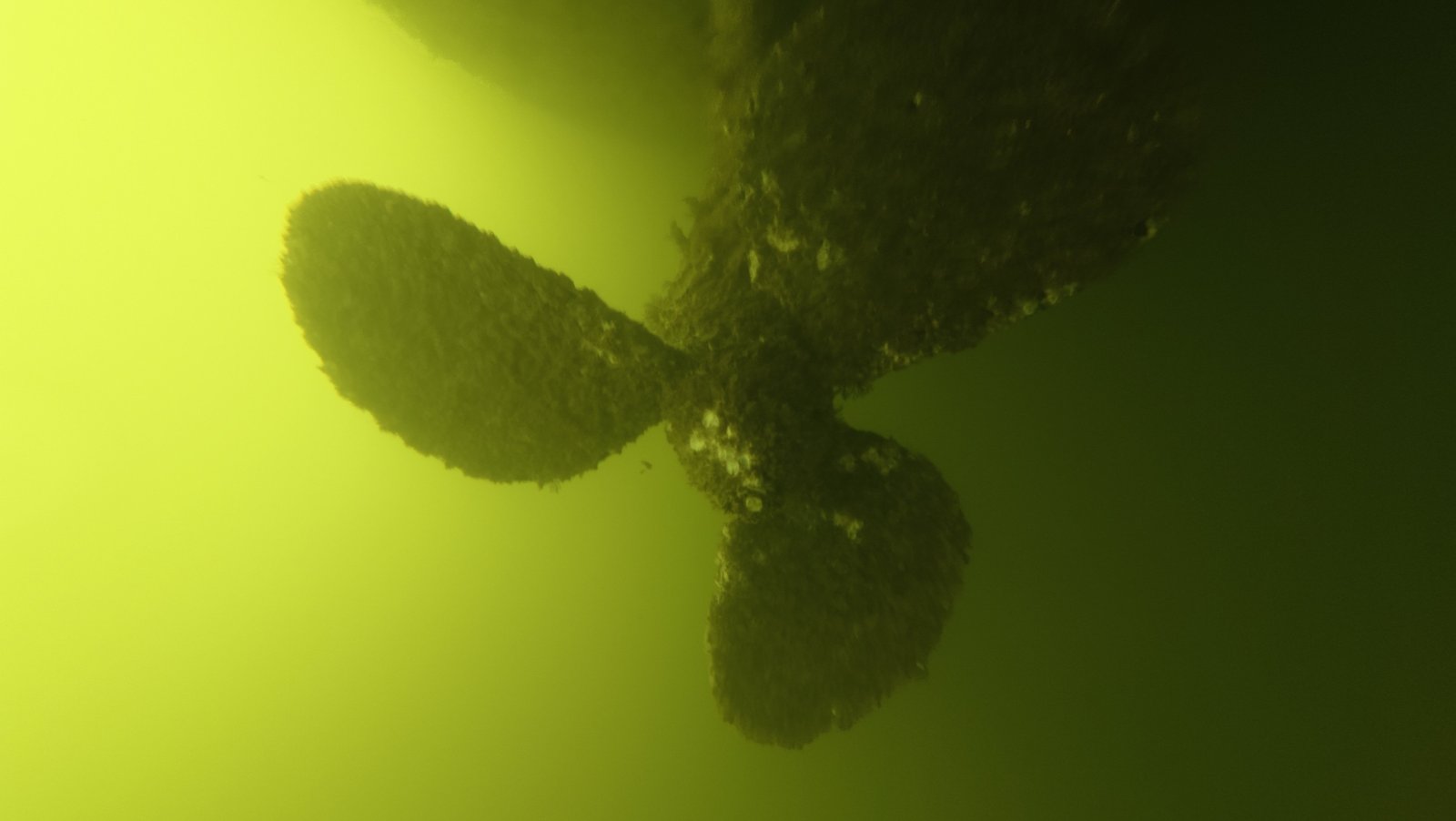 Certified diver cleaning a boat hull near Homestead, FL