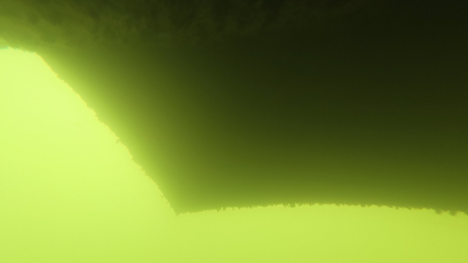 Boat hull cleaning by a diver in Hollywood, FL