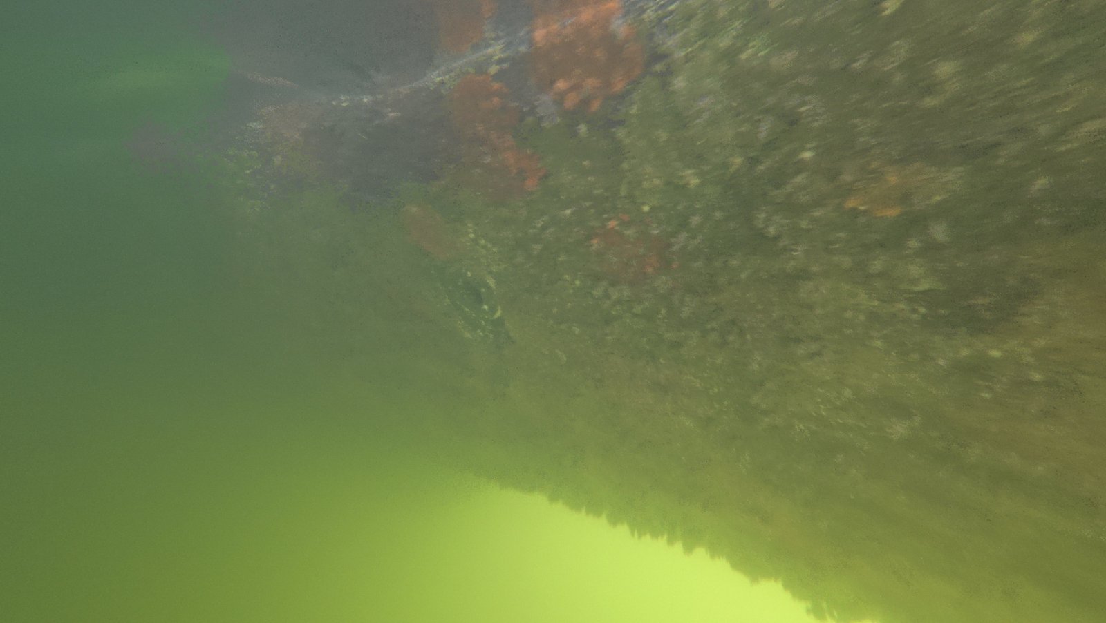 Underwater propeller inspection on a boat in Hollywood, Florida