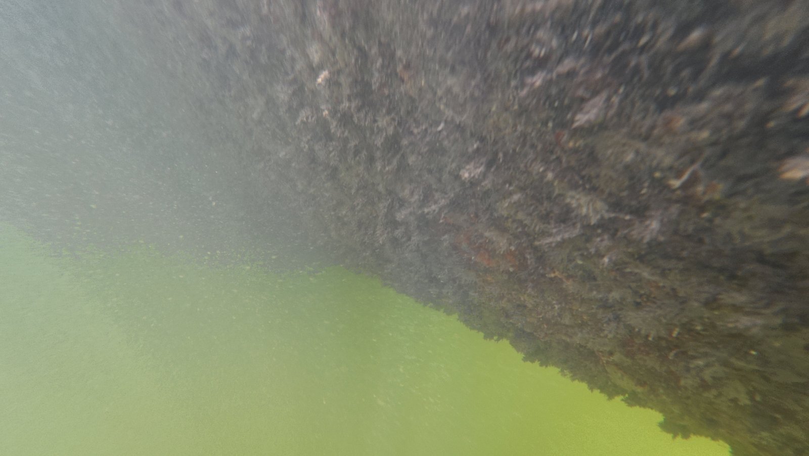 Diver cleaning a boat hull underwater in Dania Beach, FL