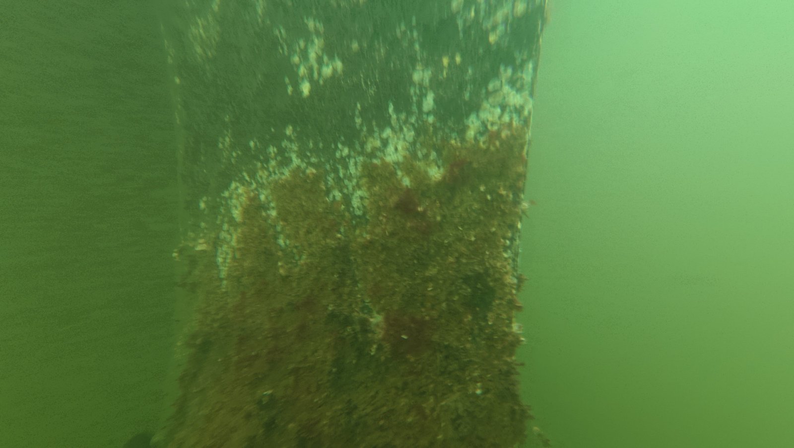 Boat propeller cleaning service in Deerfield Beach, Florida