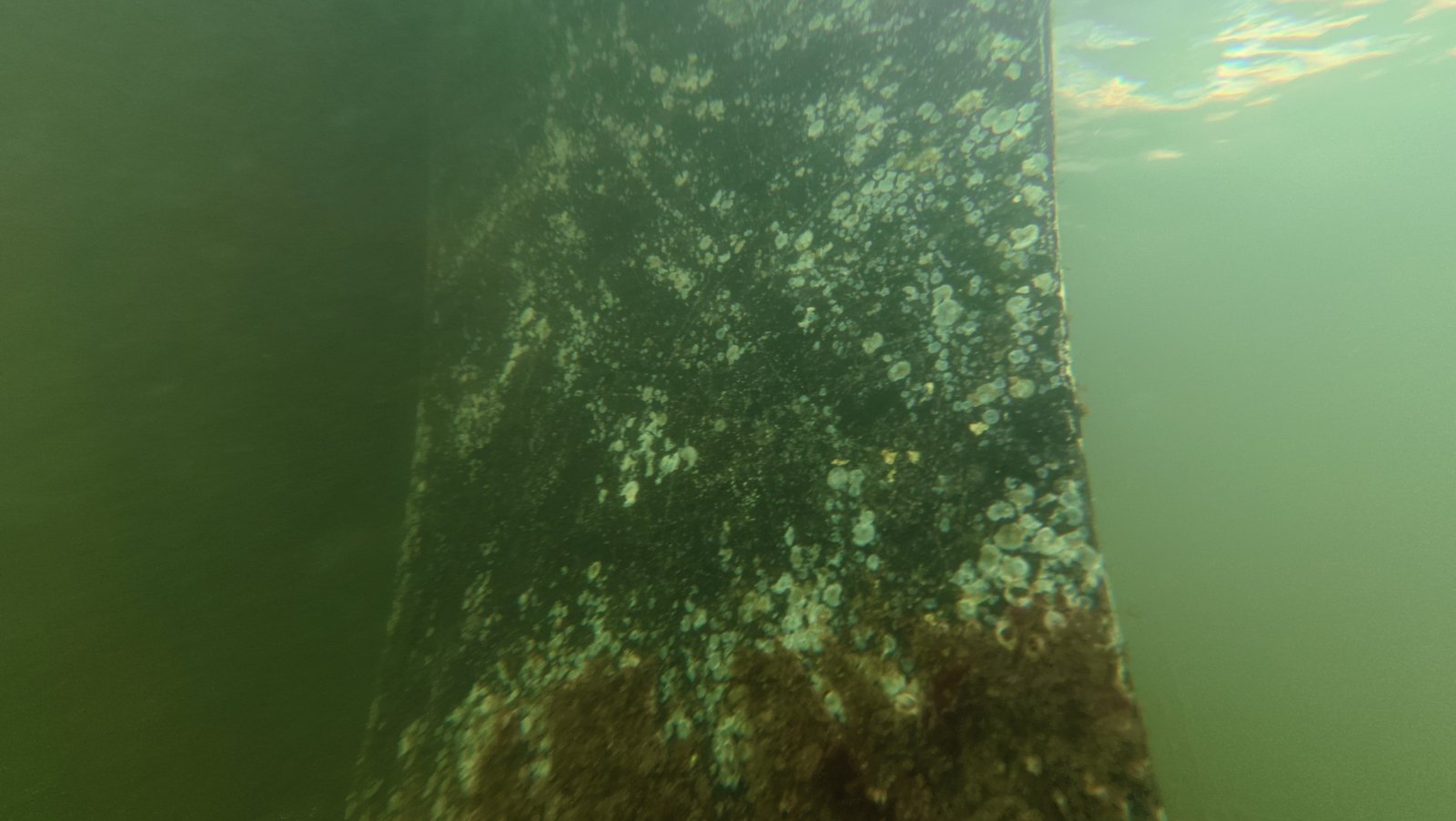 Underwater boat hull cleaning in a Delray Beach canal, FL