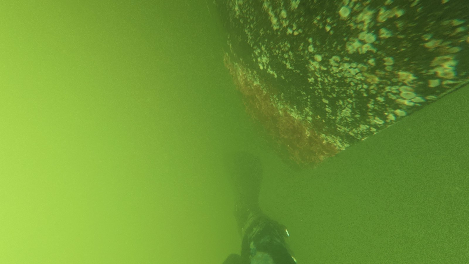 Underwater anode and running gear check in Hallandale Beach, Florida