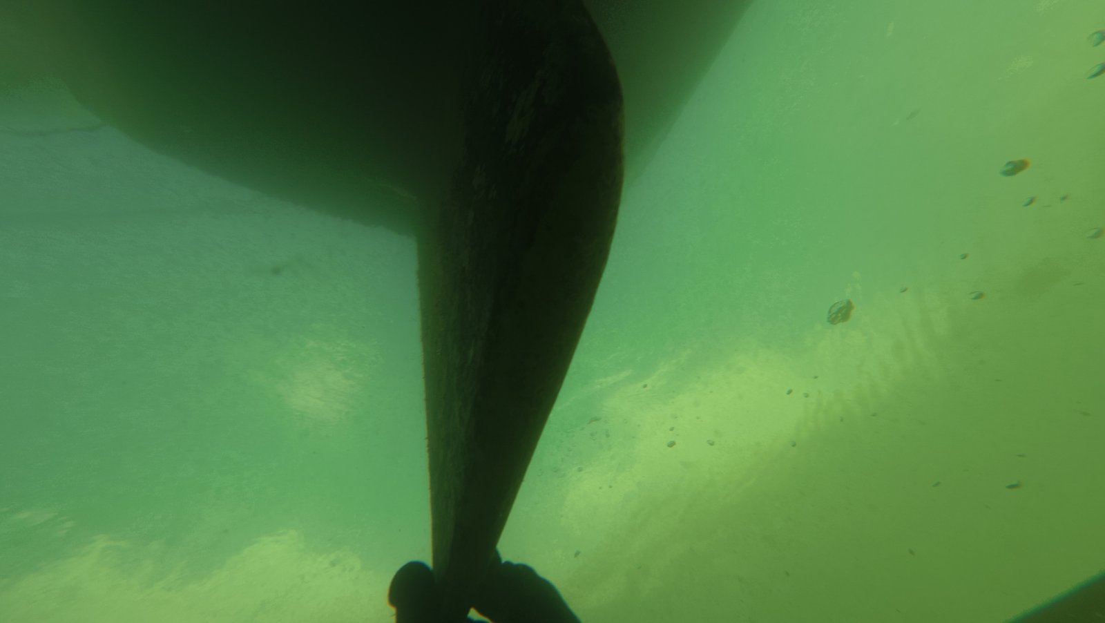 Diver inspecting a boat propeller in West Palm Beach, Florida