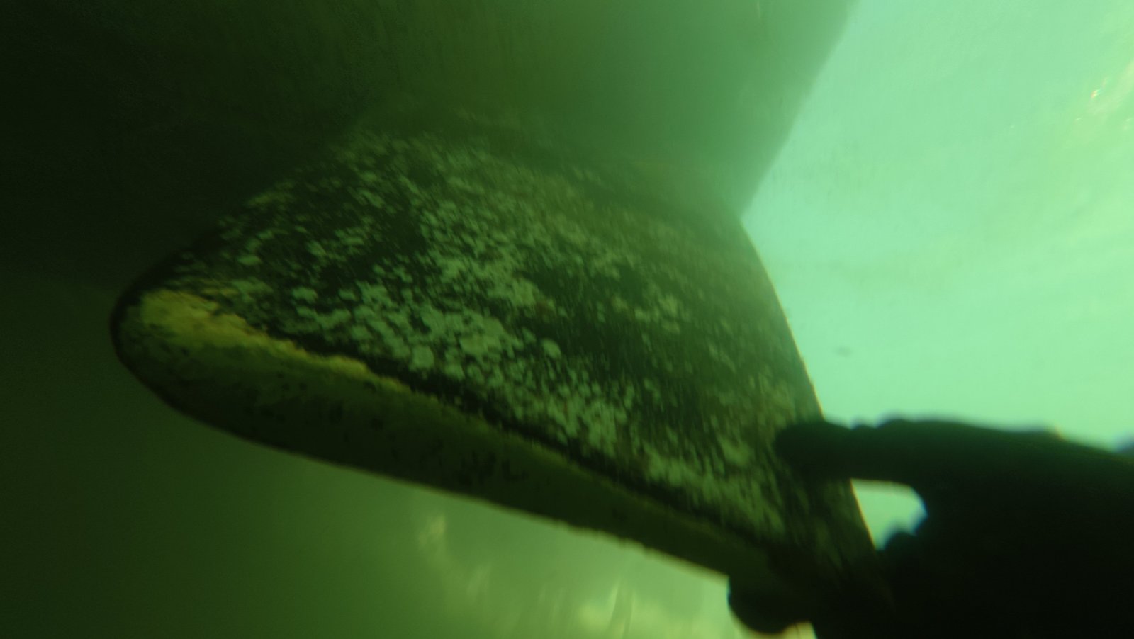 Diver cleaning a boat hull underwater in Palm Beach Gardens, FL