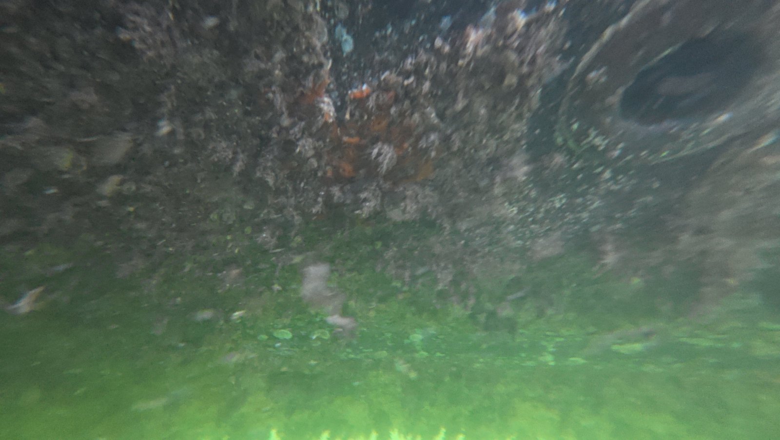 Underwater hull cleaning service in Boca Raton, FL