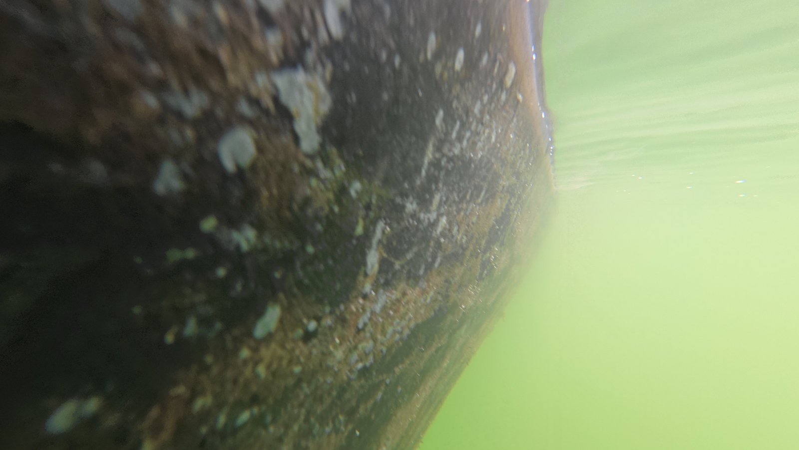 Diver detailing boat running gear near Boca Raton, Florida