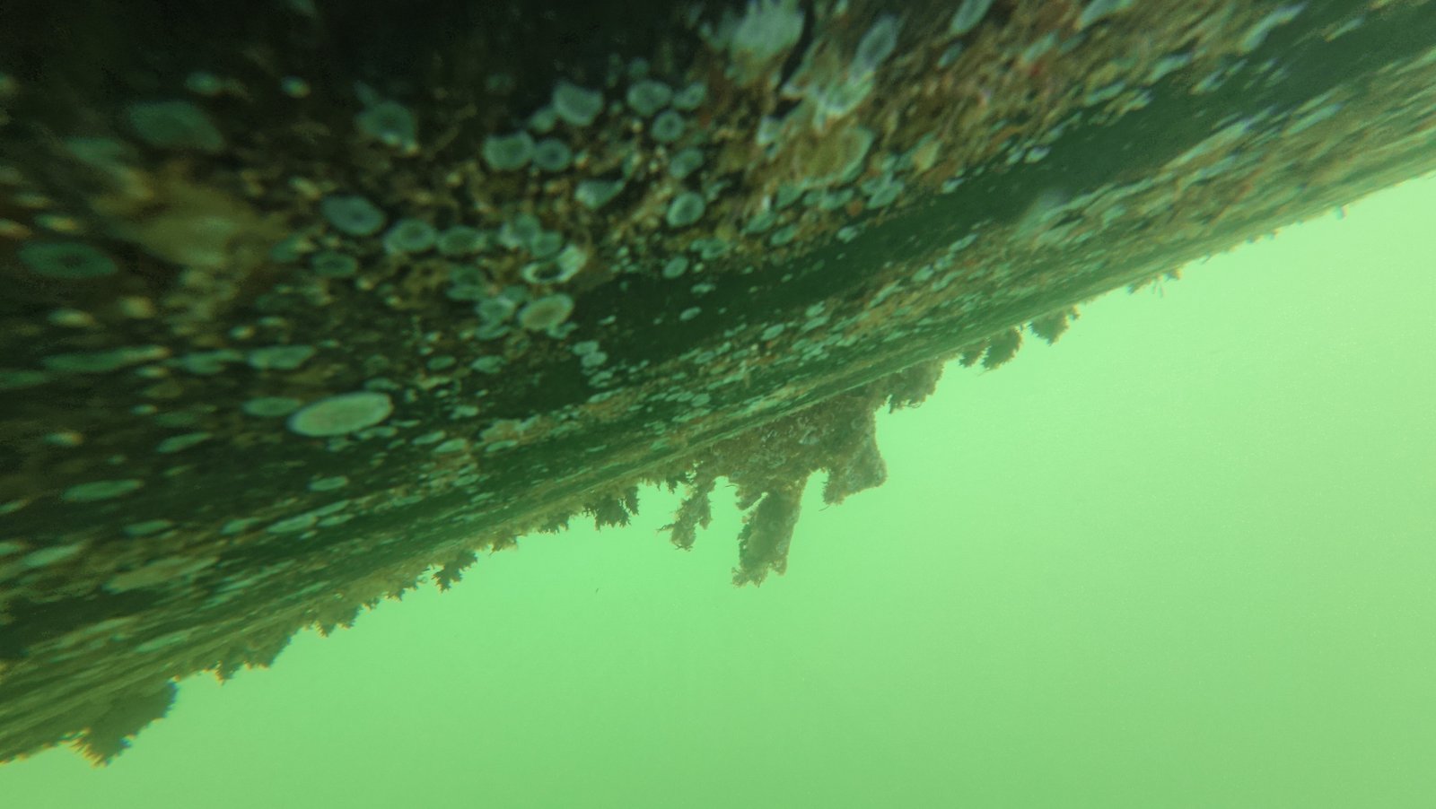 Boat propeller and zinc anode service in Boynton Beach, Florida