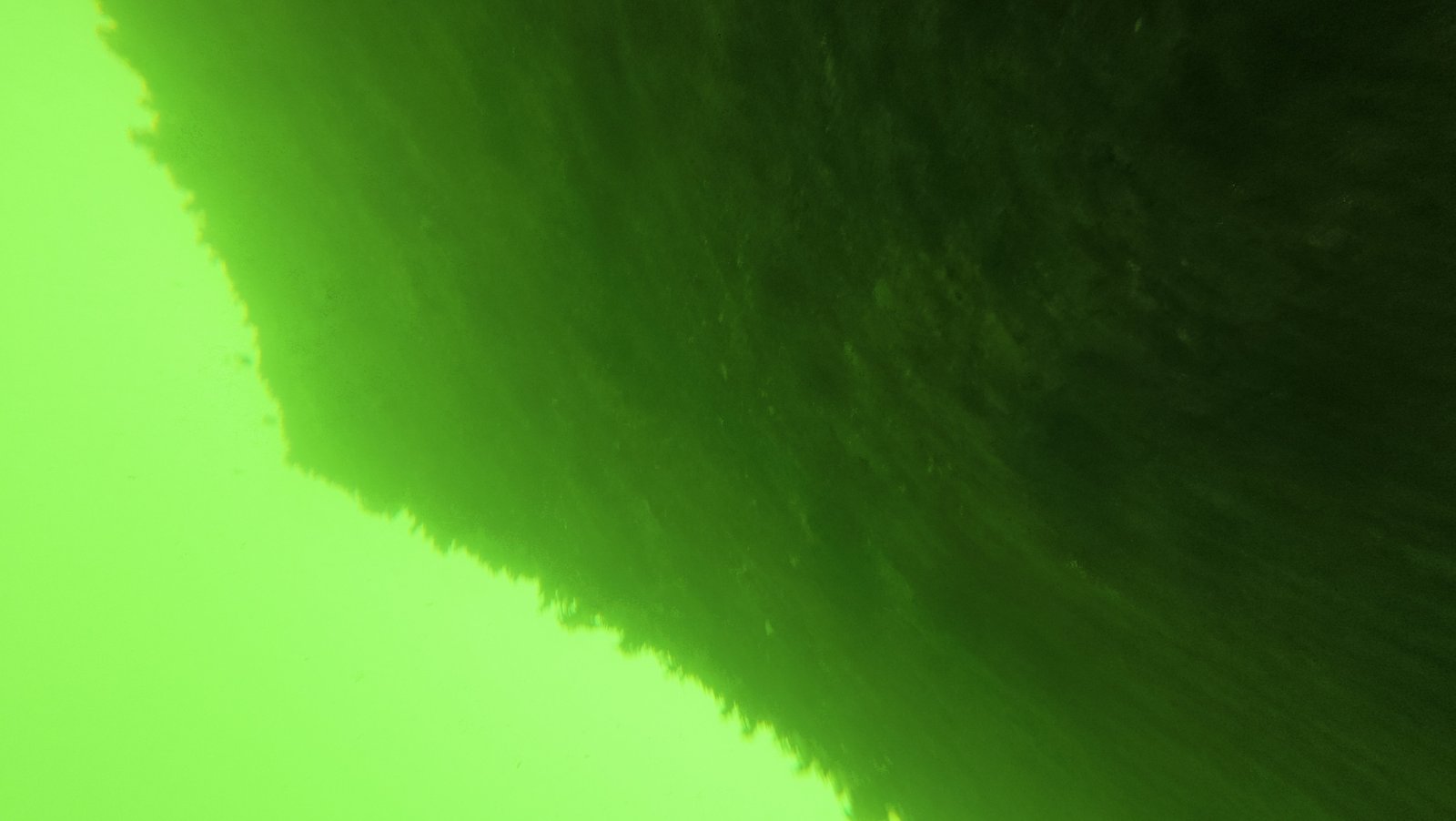 Diver clearing freshwater algae from a boat hull in Pahokee, FL