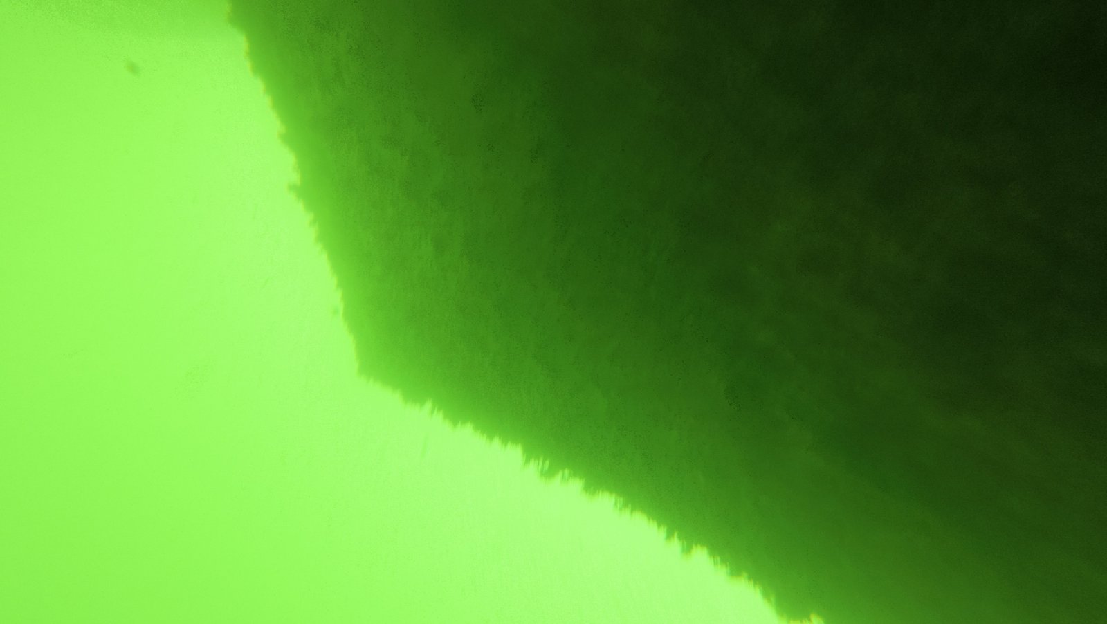 Underwater propeller cleaning on Lake Okeechobee near Pahokee, Florida