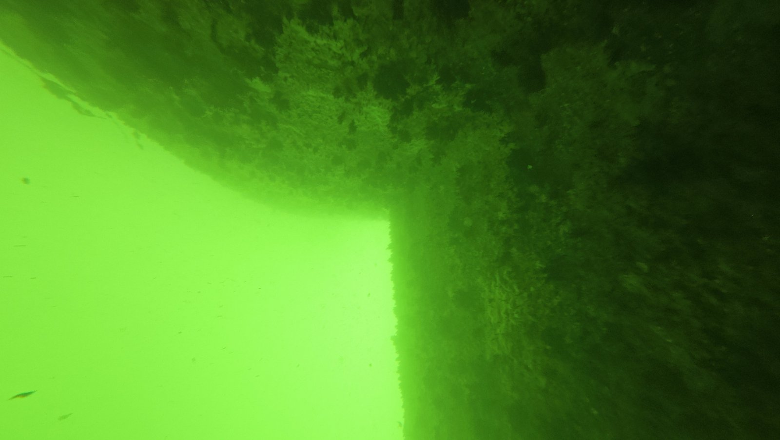 Underwater boat hull cleaning service in Lantana, FL