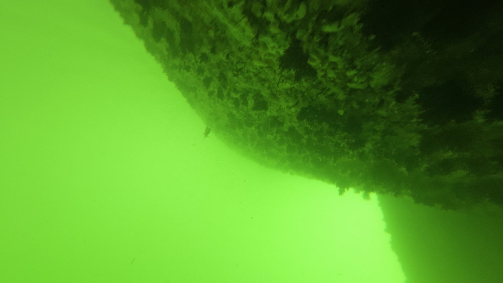 Diver inspecting trim tabs on a boat in Lantana, Florida