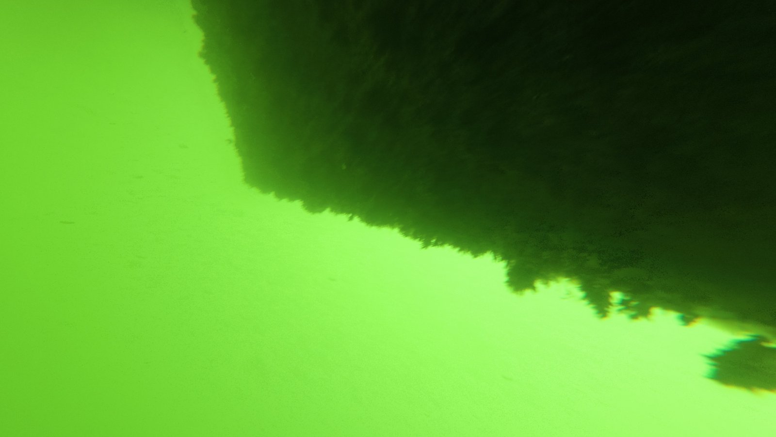 Diver cleaning a boat hull underwater near Lake Park, FL