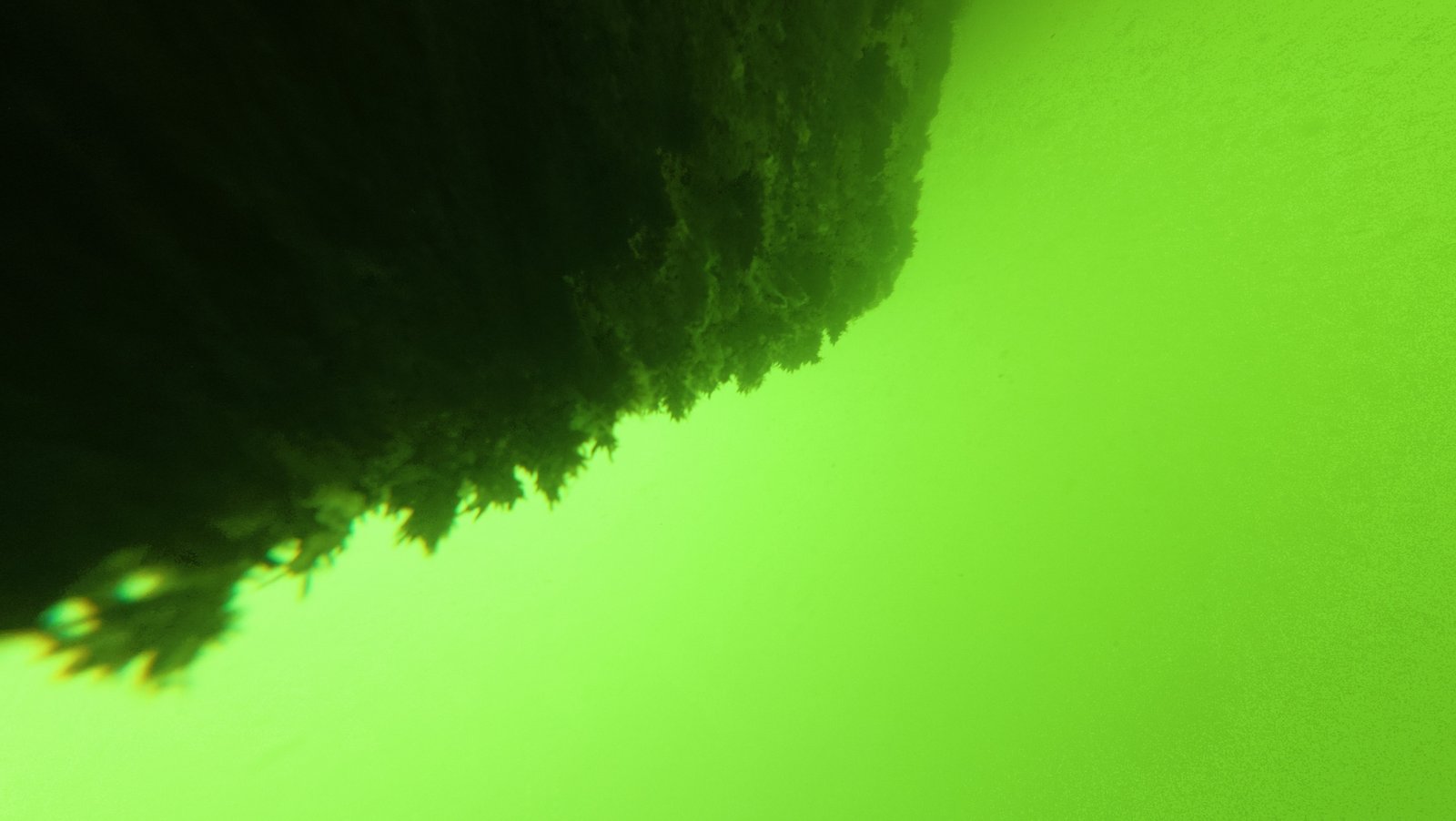 Underwater bryozoan and algae removal from a boat hull in Lake Park, Florida