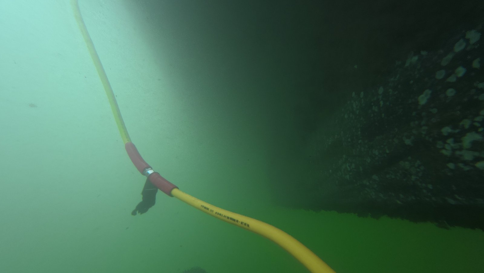 Underwater yacht hull cleaning at Epic Marina on the Miami River, FL