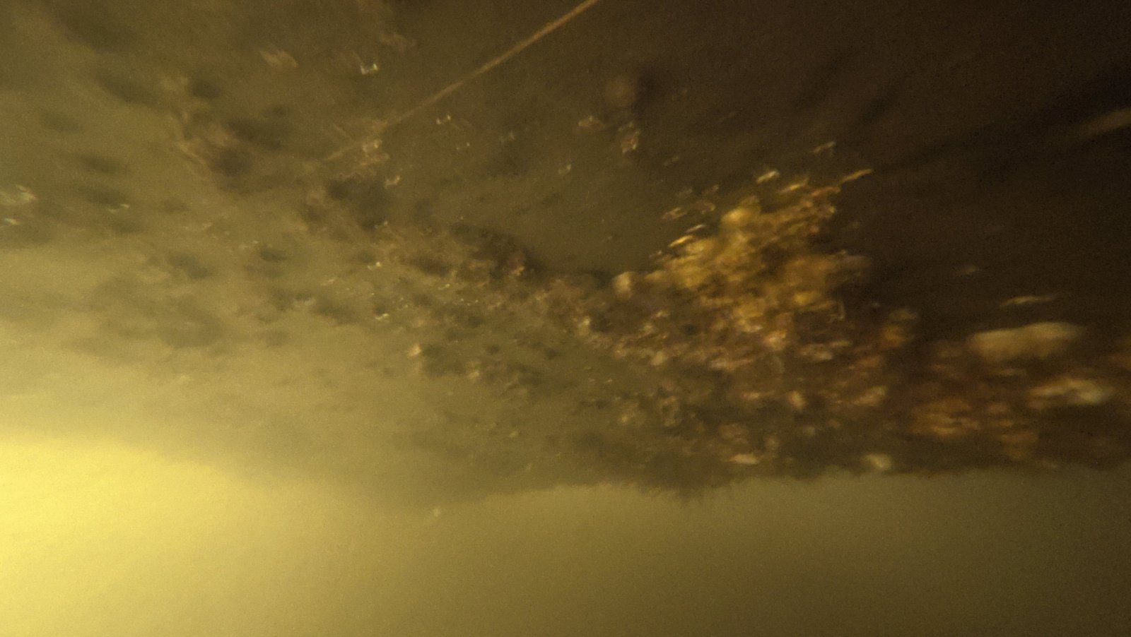 Underwater hull cleaning for a charter yacht at Miamarina at Bayside, Miami
