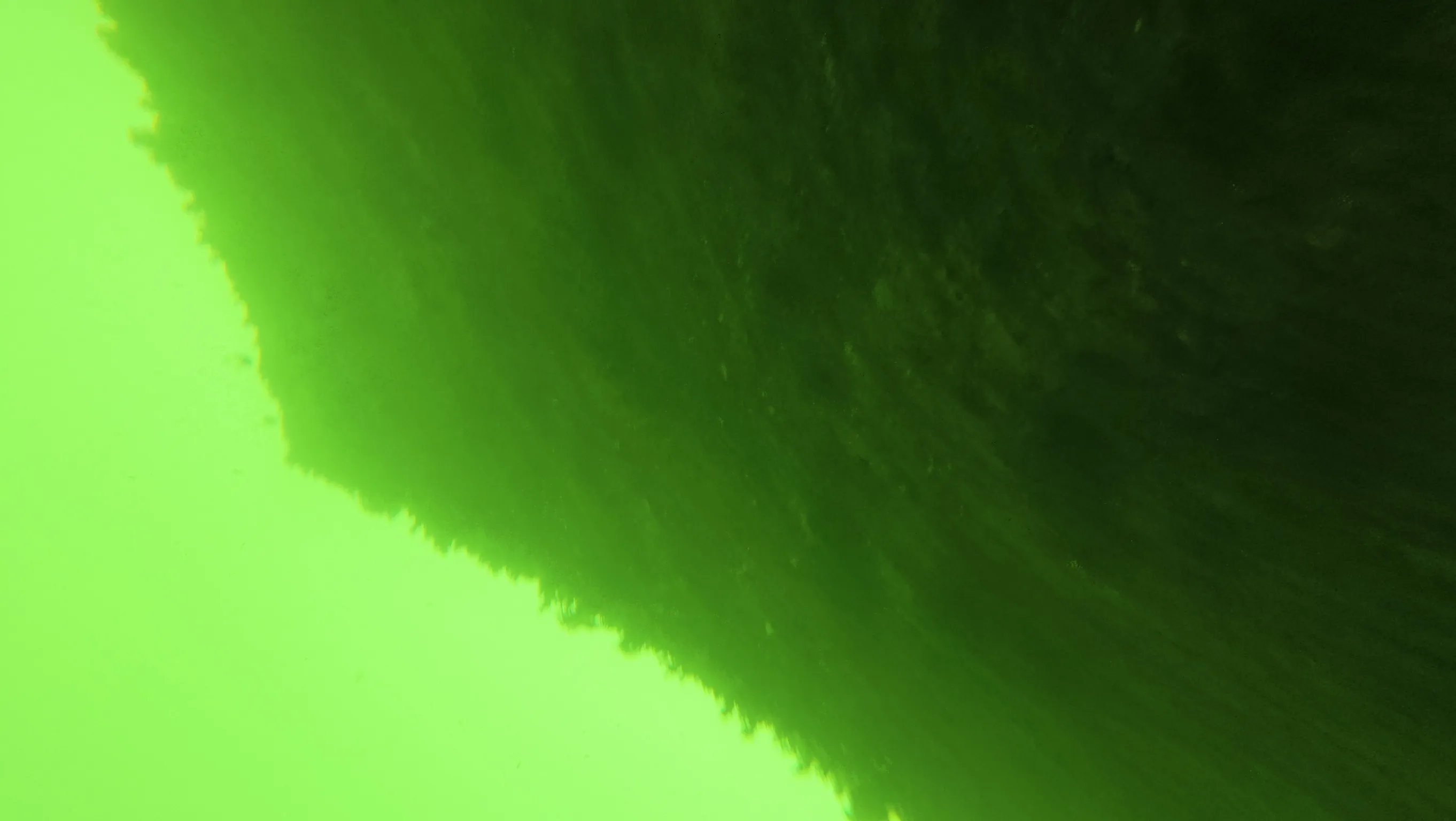 Diver clearing freshwater algae from a boat hull in Pahokee, FL