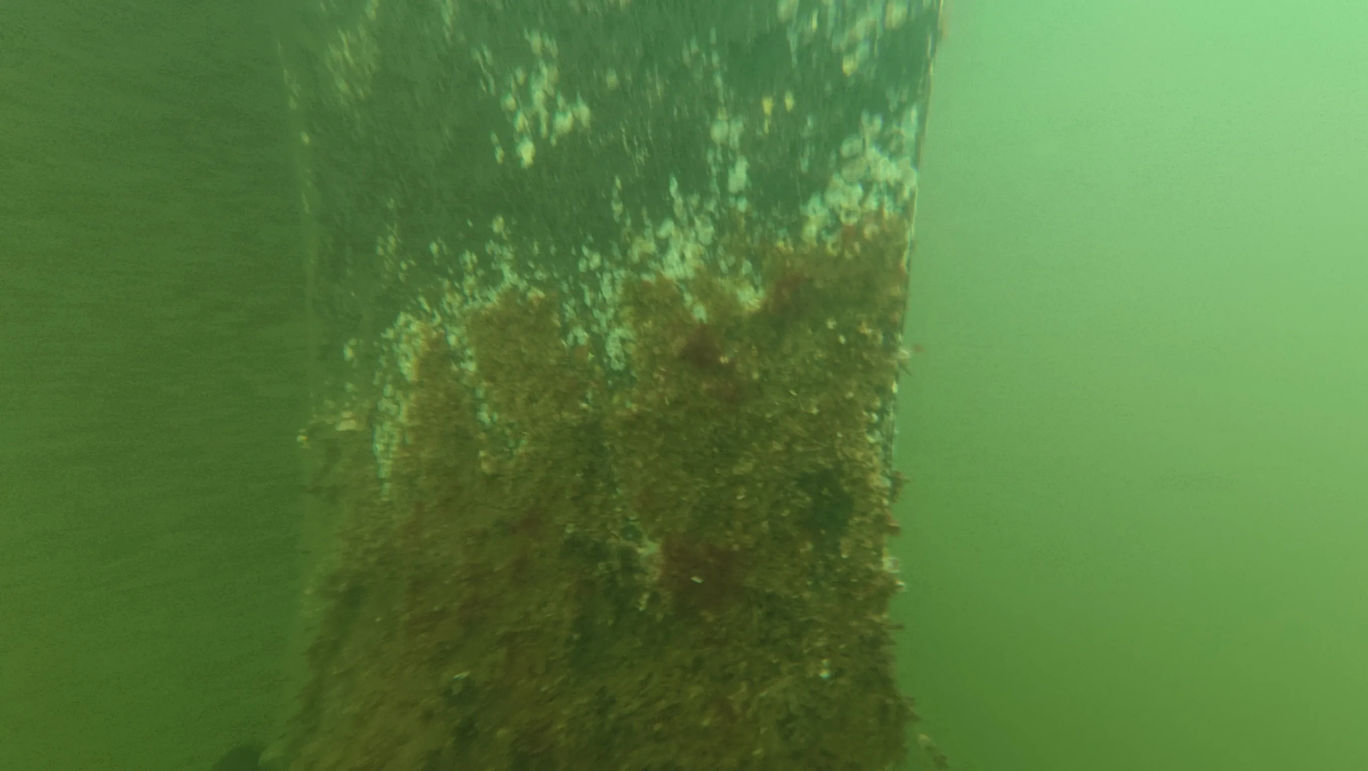 Boat propeller cleaning service in Deerfield Beach, Florida