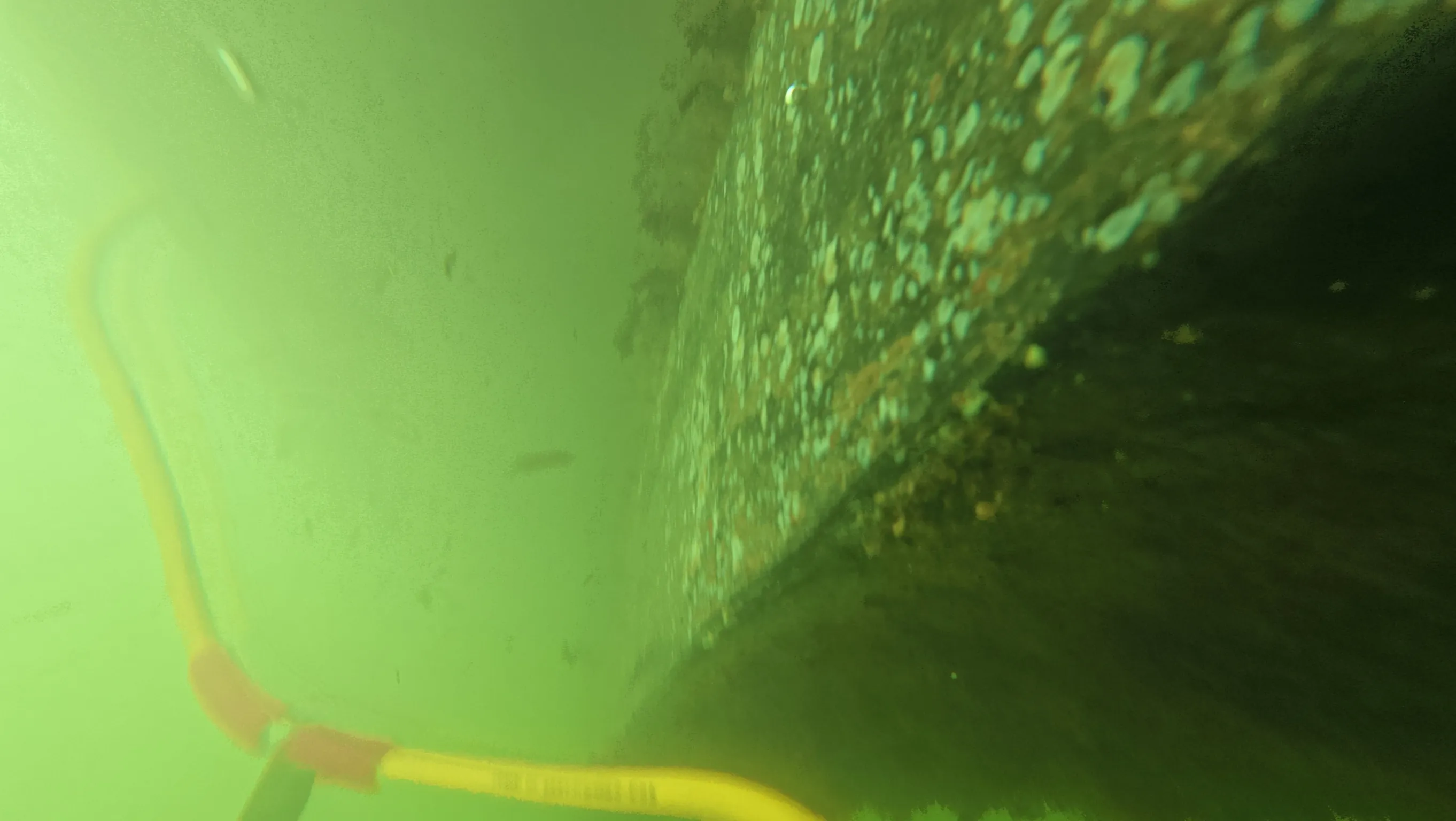 Propeller Cleaning Detail