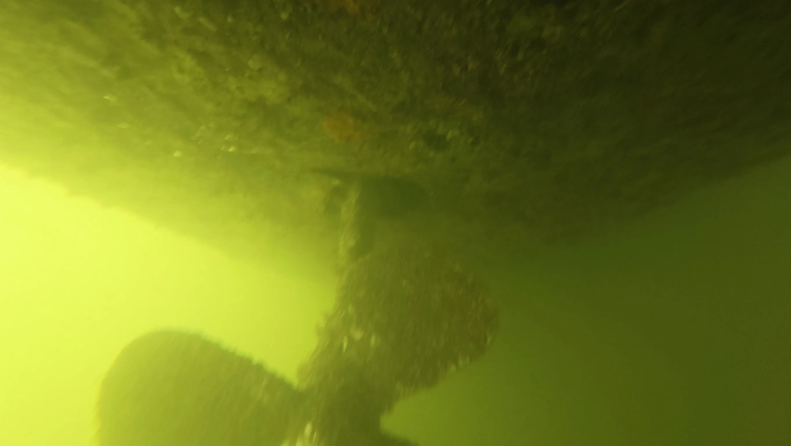 Underwater running gear inspection on a boat in Homestead, Florida