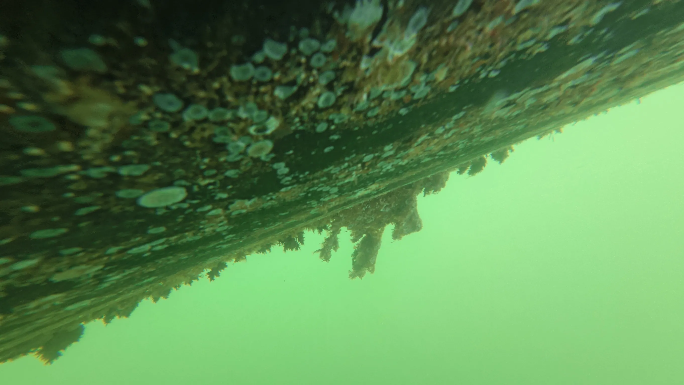 Boat propeller and zinc anode service in Boynton Beach, Florida